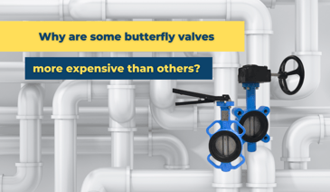 Why are some butterfly valves more expensive than others?
